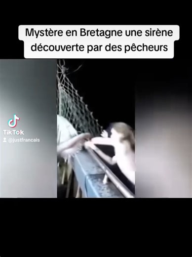 Une sirène capturée par des pêcheurs en Bretagne