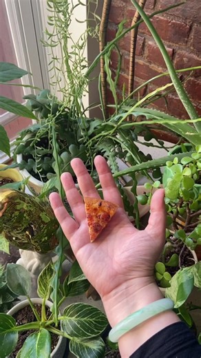 Super Mini Baby Pepperoni Pizza Recipe in a Toastie Oven