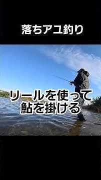 晩秋の風物詩【落ちアユ】#落ち鮎#コロガシ#鮎釣り#飛ばし#turizuki #shorts