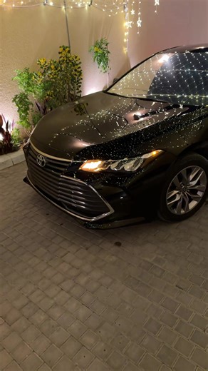 AV 순위 TOP 10: 최신 순위 정보