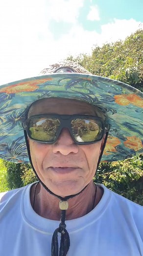 Fertilizing the trees - all 1200 of them. A few hundred every other day, what a workout. Most of the trees are loaded :) #EartherAcademy #RobertCassar #Hawaii #FarmersLife #Lychee #LycheeFarm | Earther Academy