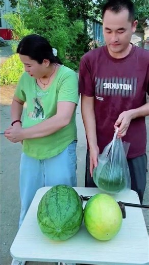 시골의 재밌는 영상이 매일 당신을 행복하게 합니다 🤣 #시골 웃긴 영상 #웃긴영상 #재미있는