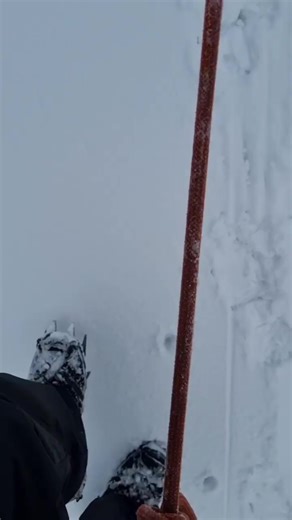 Rwenzori Central Circuit Alpine Expedition to Margherita Peak (8 Days) Explore the Rwenzori Central Circuit on an 8-day alpine expedition to Margherita Peak. Full loop trek with glacier travel, acclimatization, and summit ascent. Join an 8-day Rwenzori Central Circuit alpine expedition to Margherita Peak. Would you Hike Here? If yes, Contact Our Trekking Experts. Email Us: rwenzoritrekkingsafaris@gmail.com WhatsApp/Call: 256 773 256104 #rwenzorimountains #RwenzoriTrekking