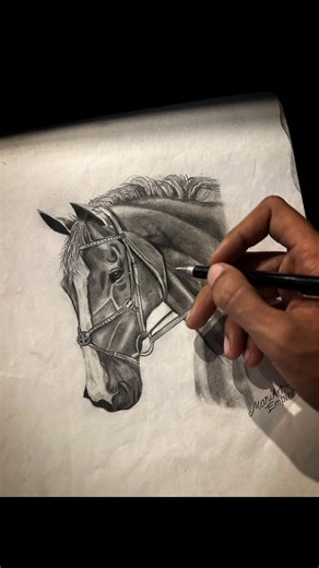 horse drawing realistic 💀#art #drawing #horse #realistic #shorts #transition