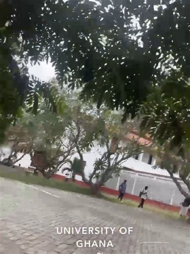 Understanding Ama's Communication Challenges