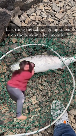 Almost Spring salmon season!#native#fyp#pnw#oregon#salmonfishing