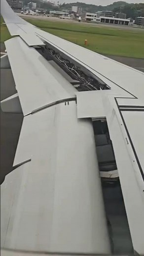 Embraer E190 Final Approach and Landing | Flaps FULL + Spoiler Deployment