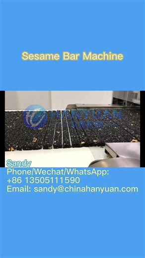 Sesame Candy Bar Cutting Machine Sesame Bar Equipment Sesame Candy Bar Production Line#sesame#sesamecandy#machine#equipment #machineryequipment