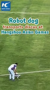 387K views · 724 reactions | Robot dogs are used to transport discuses at the Hangzhou Asian Games. #AsianGames #China | China Xinhua News | Facebook