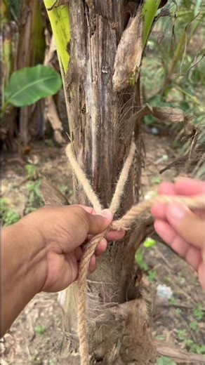 -Quick, Easy and Reliable #knot #rope #knotskill