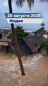 74K views · 1.4K reactions | Климатическая сводка за 20 августа 2025 г. #индия #индонезия #тайвань #мексика #франция | Creative Society. Созидательное Общество | Facebook