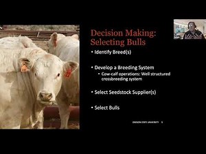Understanding EPDs for Selecting Bulls - Sergio Arispe and Morgan Johnsrud