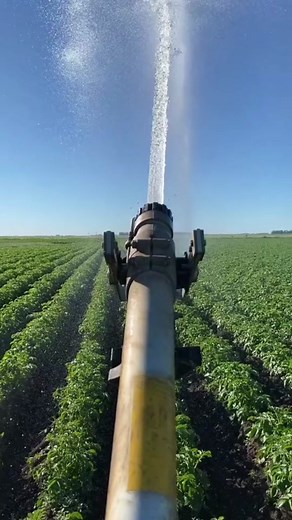 Thrilling Lawnmower Demolition Derby in Ohio