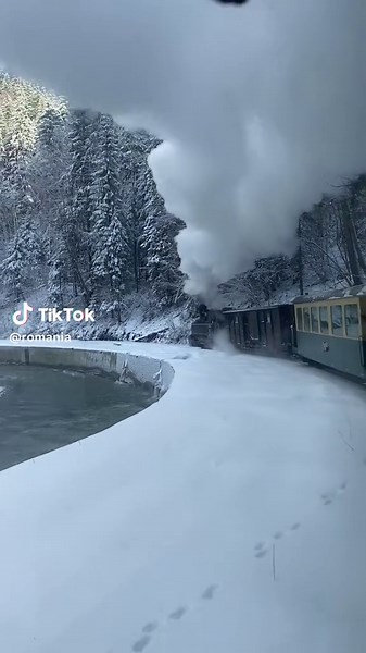 What is it about the whisper of steam against a snow-laden sky that feels like poetry in motion? In the remote wilds of Vișeu de Sus, the Mocănița steam train awakens the senses. Its iron frame trembles with life, cutting a path through the frostbitten embrace of the Vaser Valley. Here, winter’s dominion is absolute—rivers murmuring beneath veils of ice, forests cloaked in alabaster, and mountains that seem to slumber beneath a heavy quilt of snow. The locomotive, a relic of another time, breath