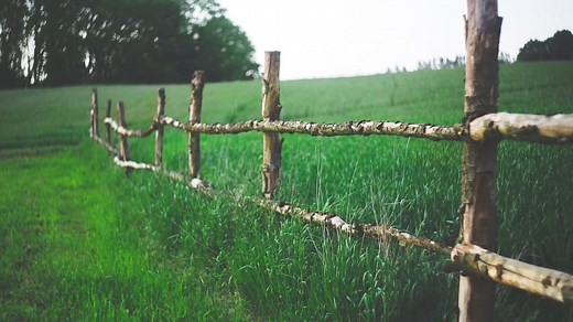 Les terres agricoles se vendent à prix d'or en France