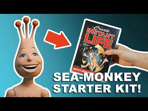 Sea-Monkeys Create Instant Life Starter Kit!
