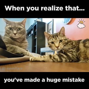 298K views · 2K shares | When you realize you made a huge mistake... | LittleThings | Facebook