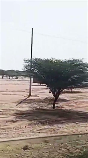 A tour of lodwar Turkana Kenya