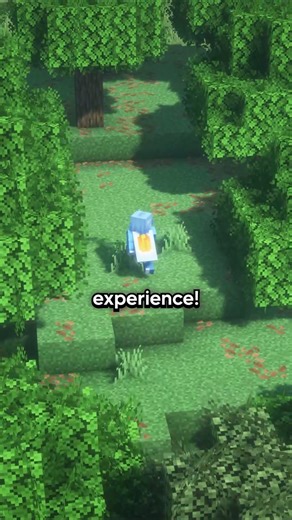 Explore the next chapter of this server! #minecraft #minecraftserver #mc #gaming