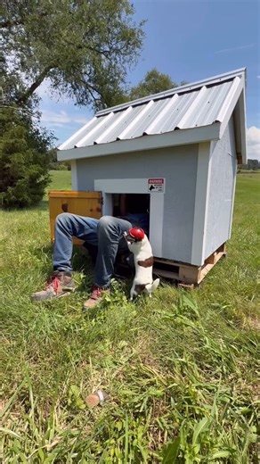 HAUS PLANS ®️ | Installing Hurricane Ties So Our Roof Won’t Blow Off In A Storm #build #howto #construction #diy #contractor #homeimprovement | Instagram