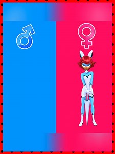 Miraculous Ladybug Heroes & Villains | Ladybug 2.0