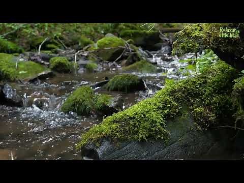 Música Relaxante para Acalmar a Mente, Sons da Natureza