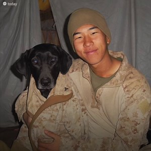 Blue est un chien détecteur de bombes qui a servi 300 fois en Afghanistan. Entraîné à trouver des explosifs, il a surpris son peloton par son audace et son courage. Mais il allait se révéler bien plus loyal que quiconque lorsque les talibans ont tendu une embuscade à sa troupe... | Le Kiwi