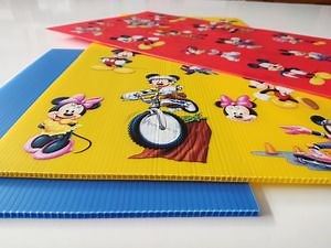 [Hot Item] Waterproof Printed Coroplast Poster Boards Election Poster Correx Yard Signs