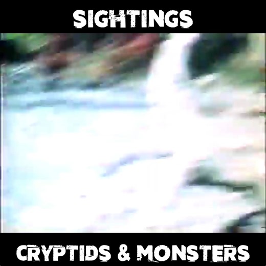 Sightings takes a closer look at the Patterson Gimlin bigfoot film. | Bigfoot Crossroads Podcast