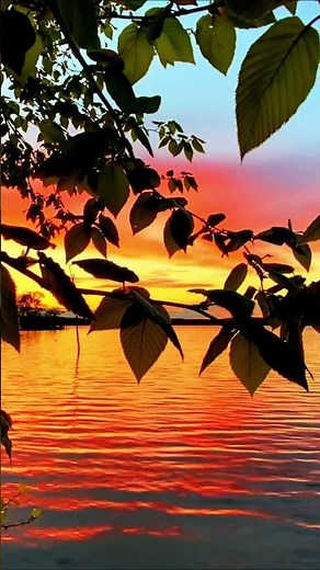 Breathtaking Golden Sunset | Peaceful Lake View in 8K Ultra HD #nature