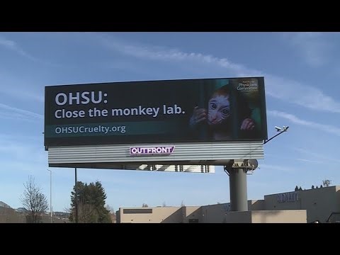 OHSU will explore turning its primate research center into a sanctuary, board says