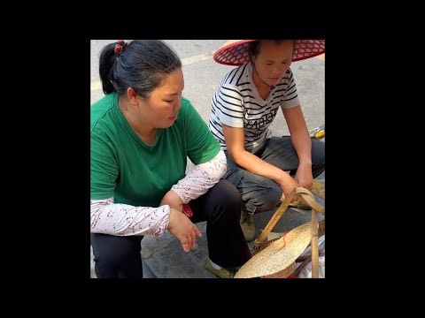又到了整蛊姐姐的一天，这次真的把我老姐当猴子一样整了。大家可以不怪我吗，其实这段时间姐姐每天忙到晚，想着带他们去城里走走逛逛#三农 #农村生活 #记录真实生活 #我的乡村生活 #整蛊