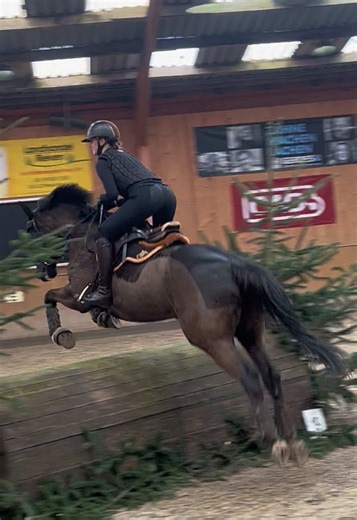 Indoor Cross-Country Horse Training Techniques for 2026