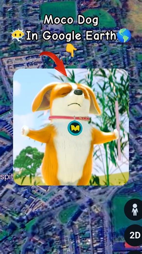 Moco Dog Found 😶‍🌫️😱 on google maps and google earth 🌎 #shots #datachampion