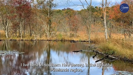 NJ Department of Human Services’ Division of Disability Services’...