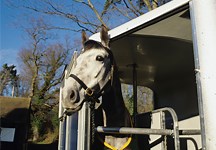 Ifor Williams deals with complaints over mouldy trailers - Horse & Hound