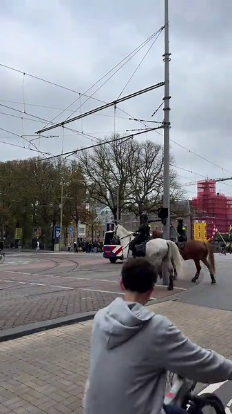 Dutch Police Approach Protests Differently