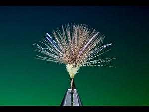 Tying a CDC Comparadun dry fly with Barry Ord Clarke