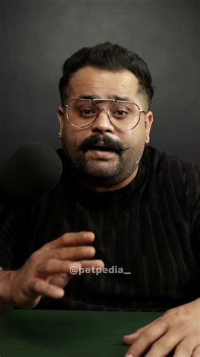 Most Underrated Dog Breed in India #rajapalayam #petpediaa