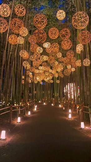 Arashiyama Tsukitouro (Kyoto) / 嵐山月灯路 嵐山月灯路 Arashiyama Bamboo Light-Up 開催期間 2025年10月01日（水）〜10月31日（金） 18:00-21:00: ※最終入場20:30 開催場所 嵐山竹林の散策路 Google map: https://maps.app.goo.gl/GvaYdWLNCam7ite49 アクセス 嵯峨嵐山駅（山陰本線）から徒歩10分 阪急嵐山駅から徒歩15分 嵐電嵐山駅から徒歩10分 #嵐山月灯路 #嵐山花灯路 #嵐山 #竹林の道 #竹林ライトアップ