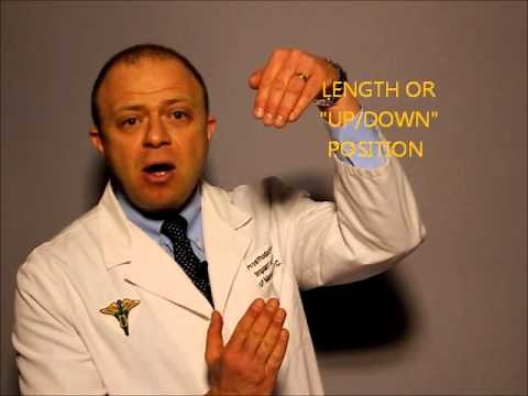 Teeth and Speech