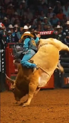 The Legend Bodacious Strikes Again! The Deadliest Bull Ever Throws Rider Hard