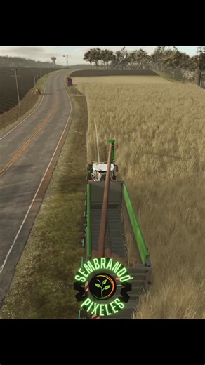 SembrandoPixeles on Instagram: "Harvesting poplar in farming simulator 25 with massey Ferguson"