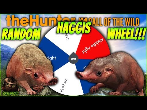 We Hunted For The Wild Haggis Using The Random Wheel! Call of the wild