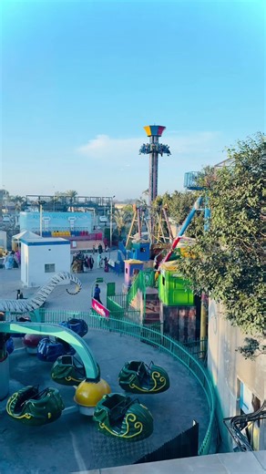 Understanding TikTok Team's Review Process