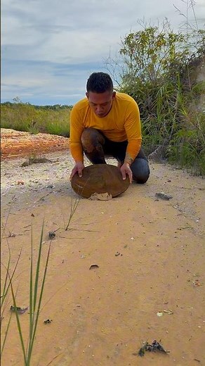 amazing😱 the discovery of thousands or even millions of gold in the sand