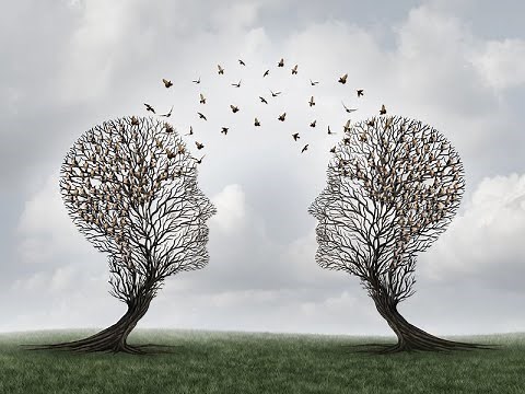 Dogmatic - Meaning Pronunciation Examples and Synonyms