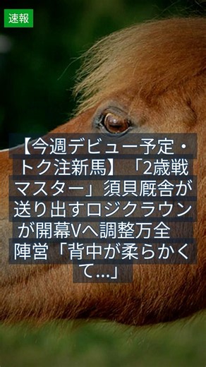 【今週デビュー予定・トク注新馬】「2歳戦マスター」須貝厩舎が送り出すロジクラウンが開幕Vへ調整万全 陣営「背中が柔らかくて...」 6月2日｜競馬NEWS #Shorts