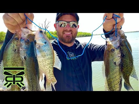 BANK Fishing for CRAPPIE with MINNOWS !🔥 | SLIP CORK & Minnows 🐟 #BARFLY