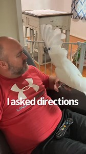 Dad rant with subtitles #fyp #viral #subtitles #impressions #parrot #buster #Busterthecockatoo #dad #rant #funny #SharePost | Buster the cockatoo